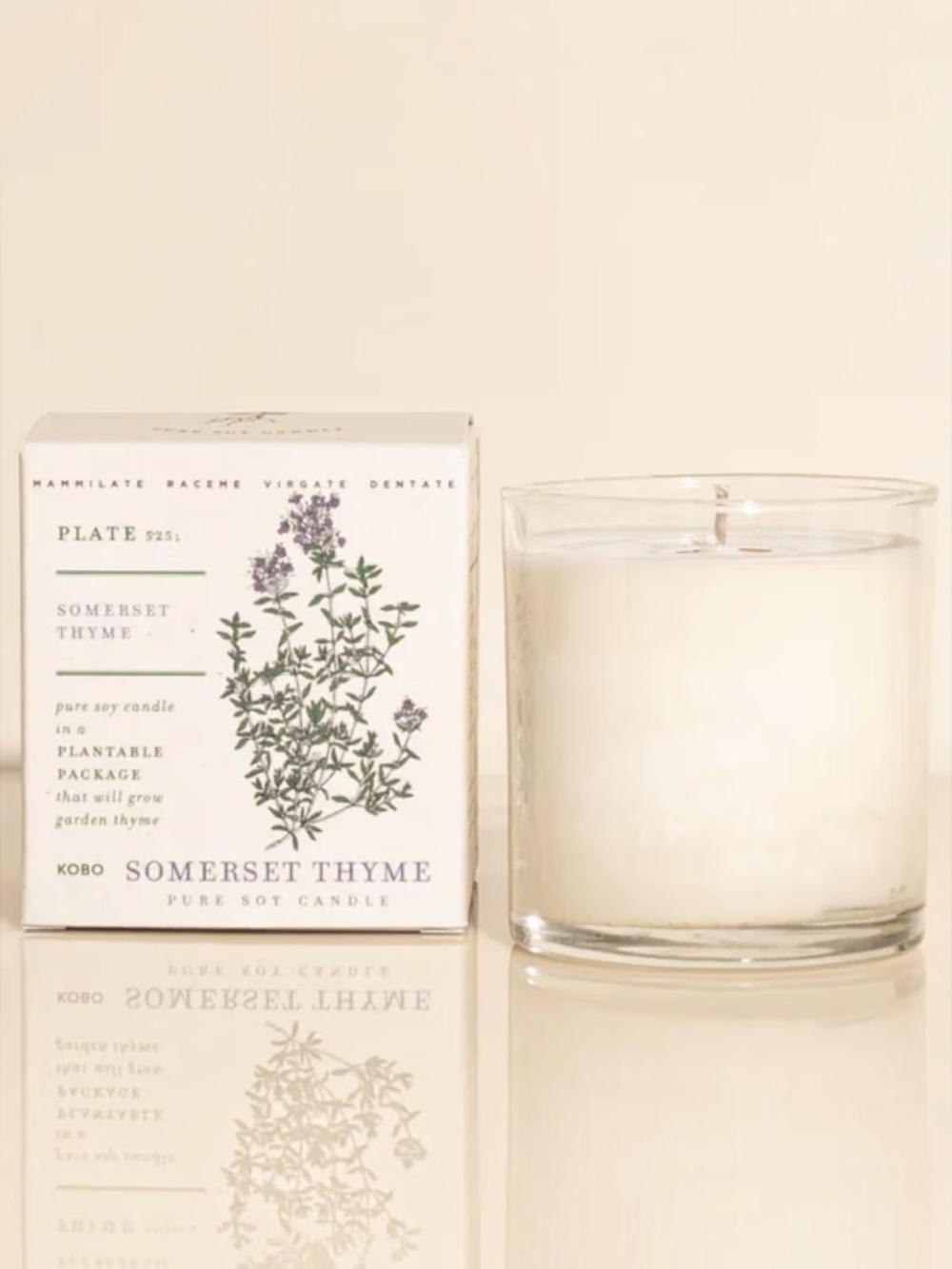 KOBO PLANT THE BOX CANDLE SOMERSET THYME